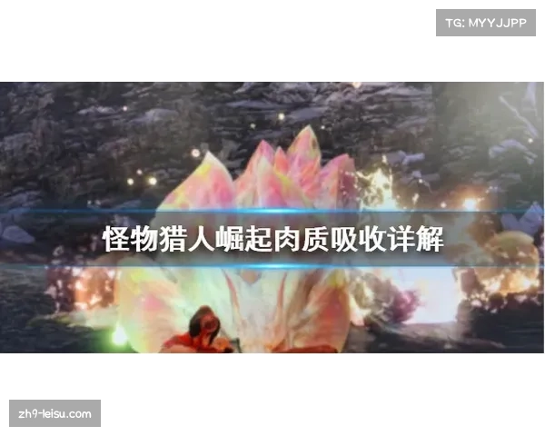 欧会杯与欧联杯的主要区别解析及比赛意义探讨